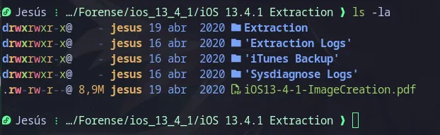 Estructura de carpetas de la extracción: Extraction, Extraction Logs, iTunes Backup y Sysdiagnose Logs