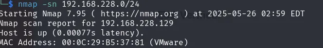 Descubrimiento de host con nmap -sn, la máquina responde en 192.168.228.129